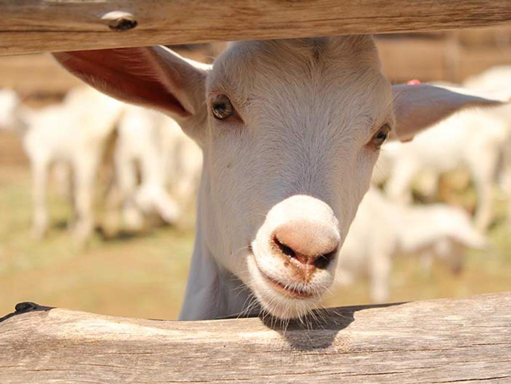 Posada Rural La Matilde San Javier  Dış mekan fotoğraf